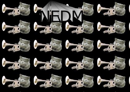 NEDM cat Trumpet