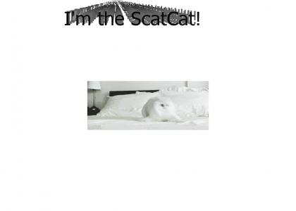I'm the ScatCat
