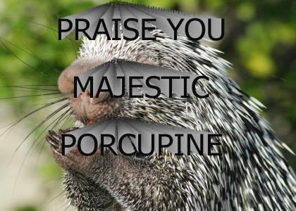 praise u porcupine