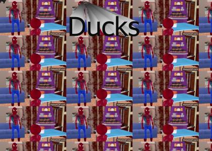 duck