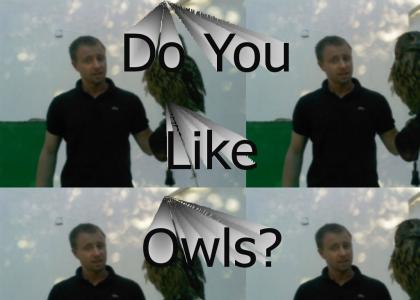Do you like owls?