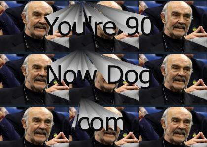 ytmnd - you're the man now dog!