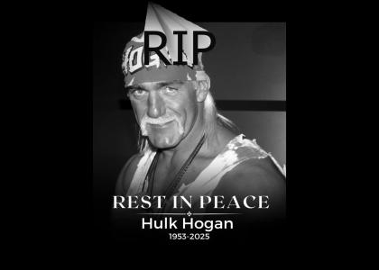 RIP Hulk Hogan (Too Soon to Make Shitpost) RIP Hulk Hogan (Too Soon to Make Shitpost)