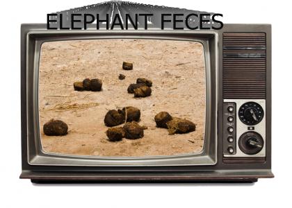 elephant feces: The Show Part 2