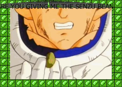 SENZU BEAN