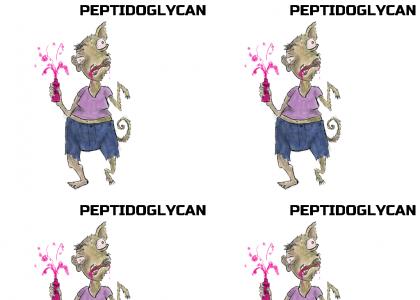 PEPTIDOGLYCAN