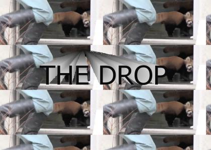 THE DROP