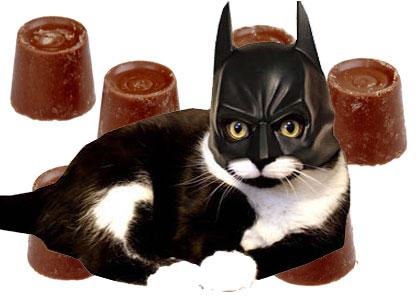 BATCAT Bats a Downvote