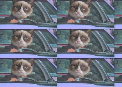 Grumpy Cat In Traffic