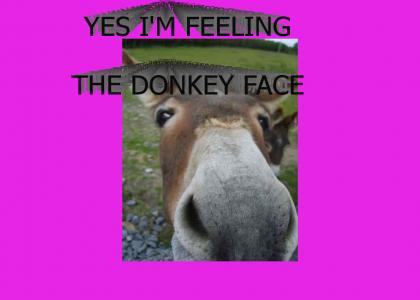 yes i'm feeling the donkey face