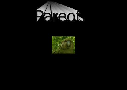Pareot Pareot