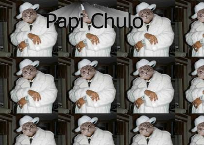 Papi Chulo