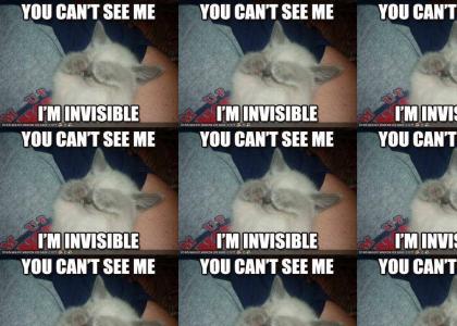 Invisible Cat!!!1!1!1one