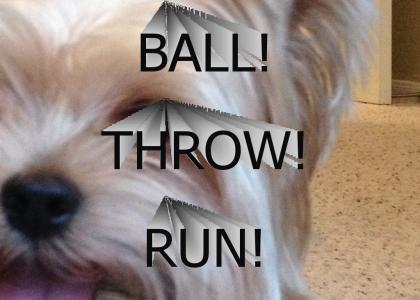 Throw!