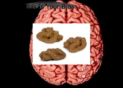 This Is Your Brain