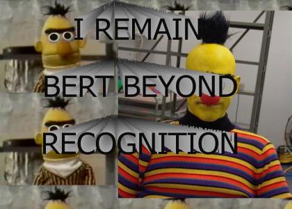 I REMAIN BERT BEYOND RECOGNITION