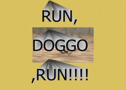 RUN, DOGGO, RUN