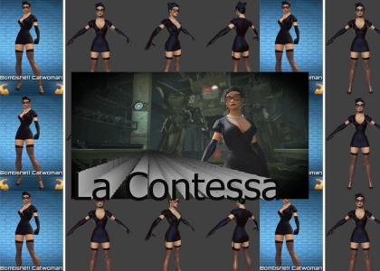 The Catwoman (Selina Digatti) - DC Universe Online