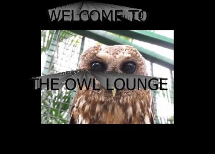 You've been lounge owled