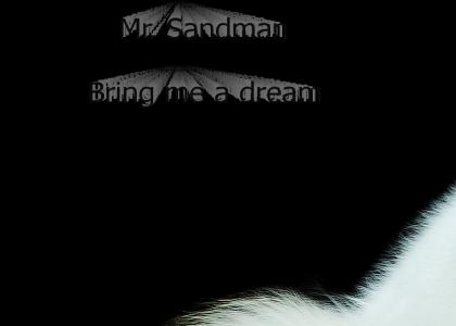 Mr. Sandman