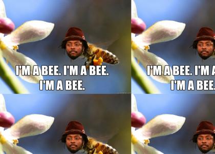 I'm A Bee