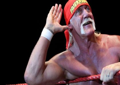 Rest in Peace Hulk Hogan aka Terry Bologna aka the people's elbow