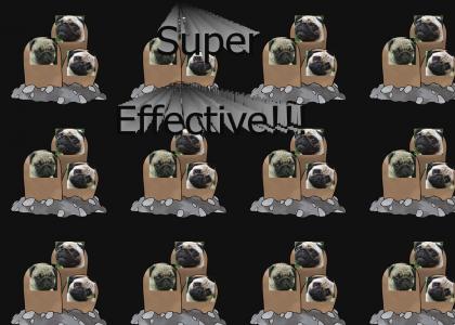 Pugtrio