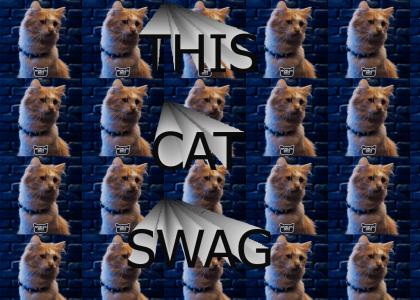 DAT CAT