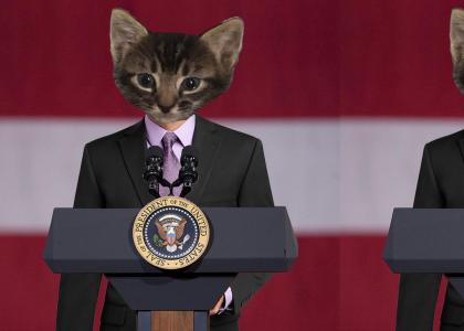 Purrsident of the United States