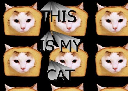 This is my CAT This is my CAT