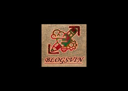 Blogsvin is a India based Digital Marketing Agency