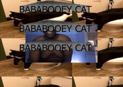 BABABOOEY CAT