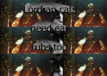 Lordran's cats need ear rubs too
