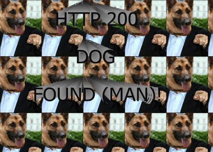 Dog found man!