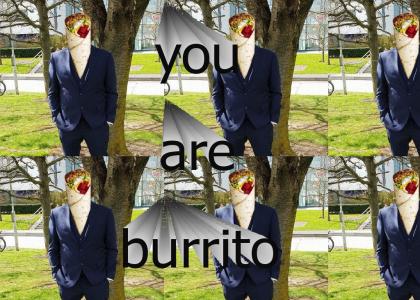 you are a burrito