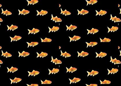 eternal goldfish