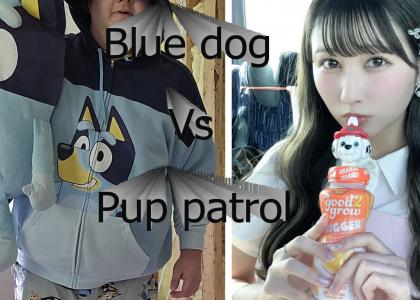 Adult bluey fan vs Paw Patrol fan