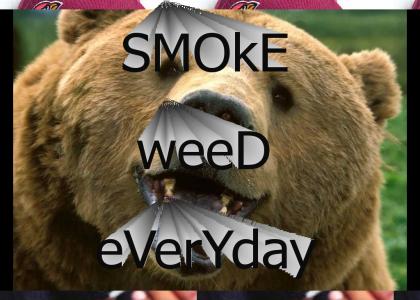 Smoke Weed Every Day