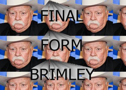Final Form Brimley