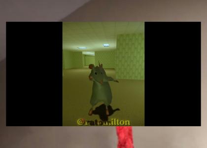 Dancing rat