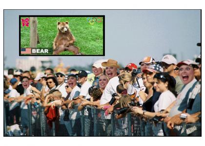 Bearlympics