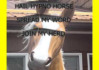 HAIL HYPNO HORSE