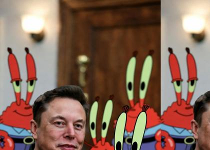 Mr Krabs and Elon Musk grind the goldberg in their pants