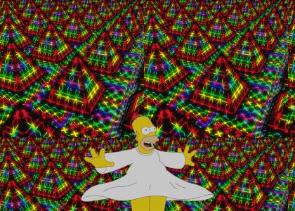 Homer's Trip