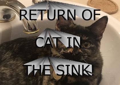 Return of Cat in the Sink