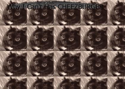 i CAN'T haz chesburger?