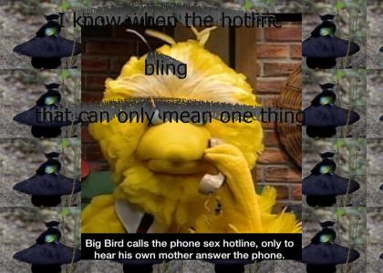 Hotline Bird
