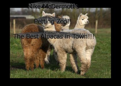 Mike McDermott's Petting Zoo!
