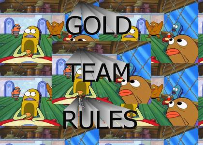 Gold Team Rules