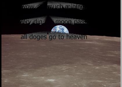 dogecoin to the moon